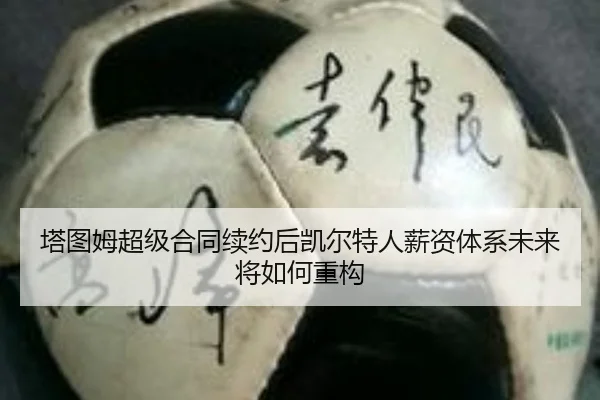 ta-tu-mu-chao-ji-he-tong-xu-yue-hou-kai-er-te-ren-xin-zi-ti-xi-wei-lai-jiang-ru-he-zhong-gou-2-202.jpg