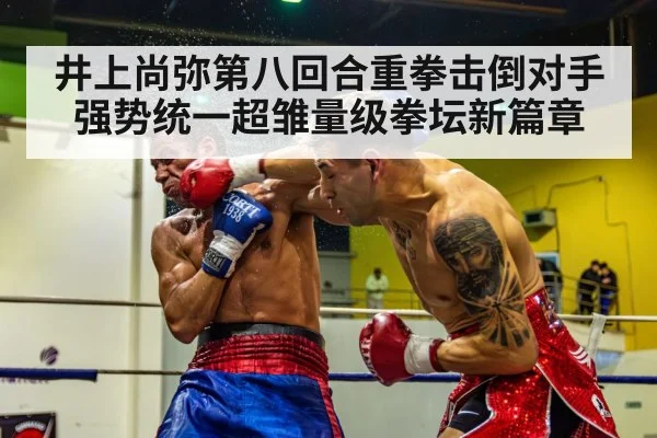 井上尚弥第八回合重拳击倒对手强势统一超雏量级拳坛新篇章