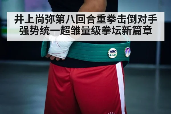 boxing champion belt