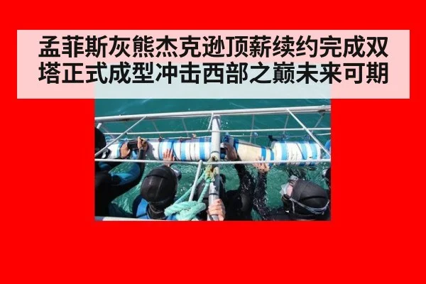孟菲斯灰熊杰克逊顶薪续约完成双塔正式成型冲击西部之巅未来可期